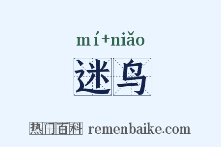 迷鸟是什么意思的图片